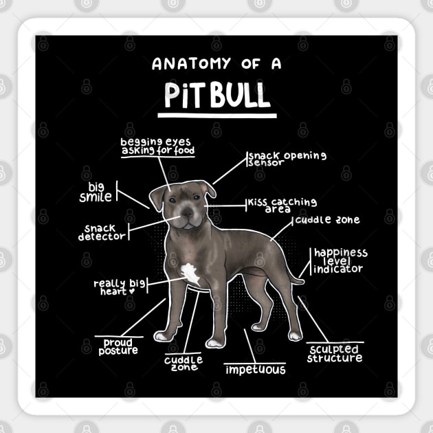 Anatomy of a PitBull Magnet by Alies